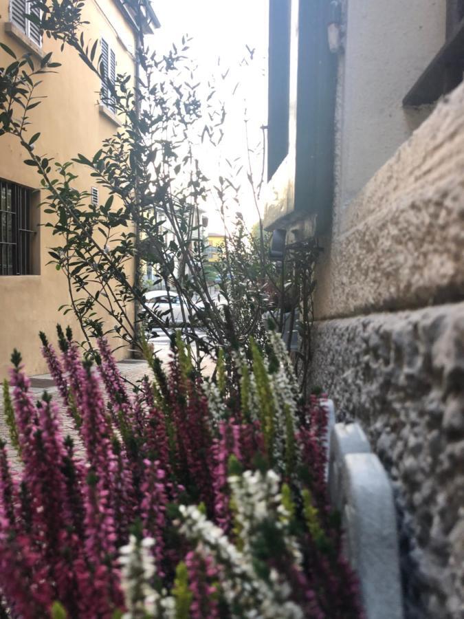 نوسيتو Mentorer&B المظهر الخارجي الصورة